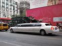 NY (239)